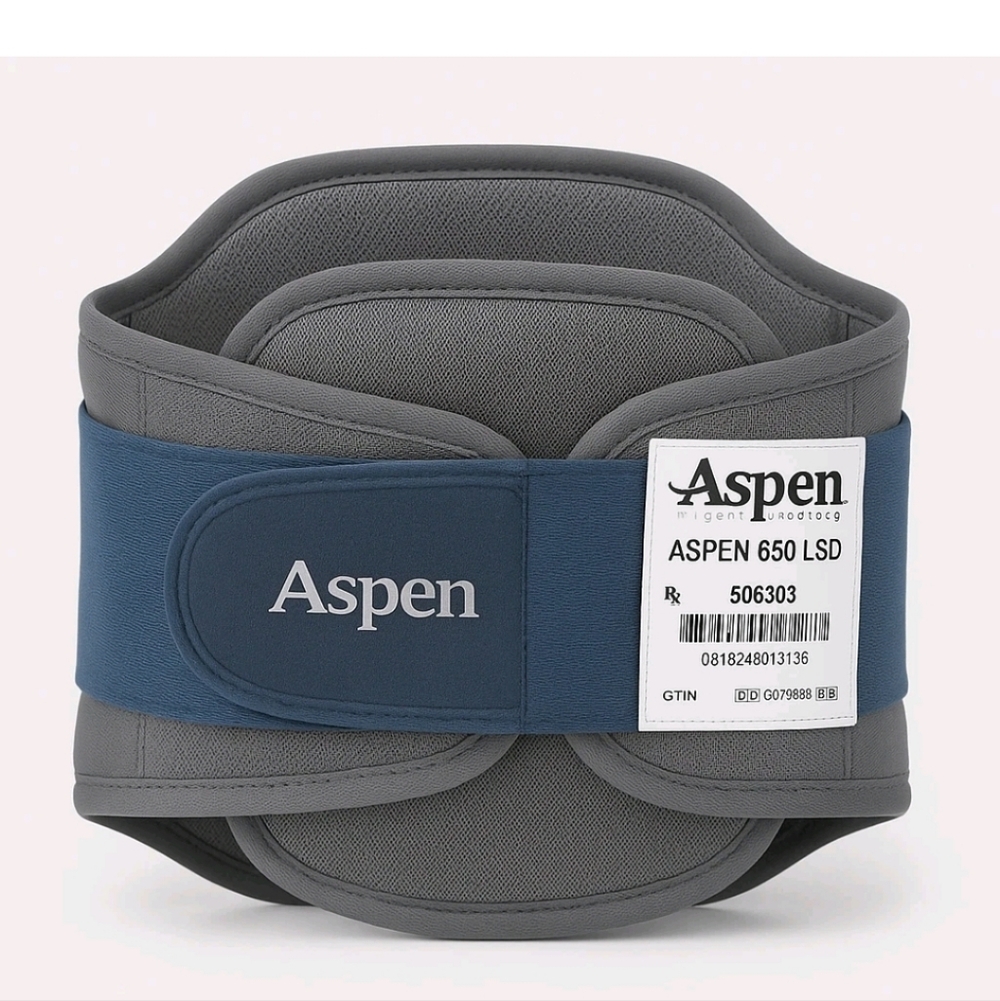 Aspen 650 LSD Back Brace in Gray and Blue